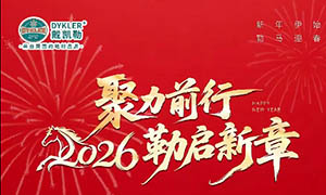 戴凯勒（山东）“聚力前行，2026勒启新章”年度盛会